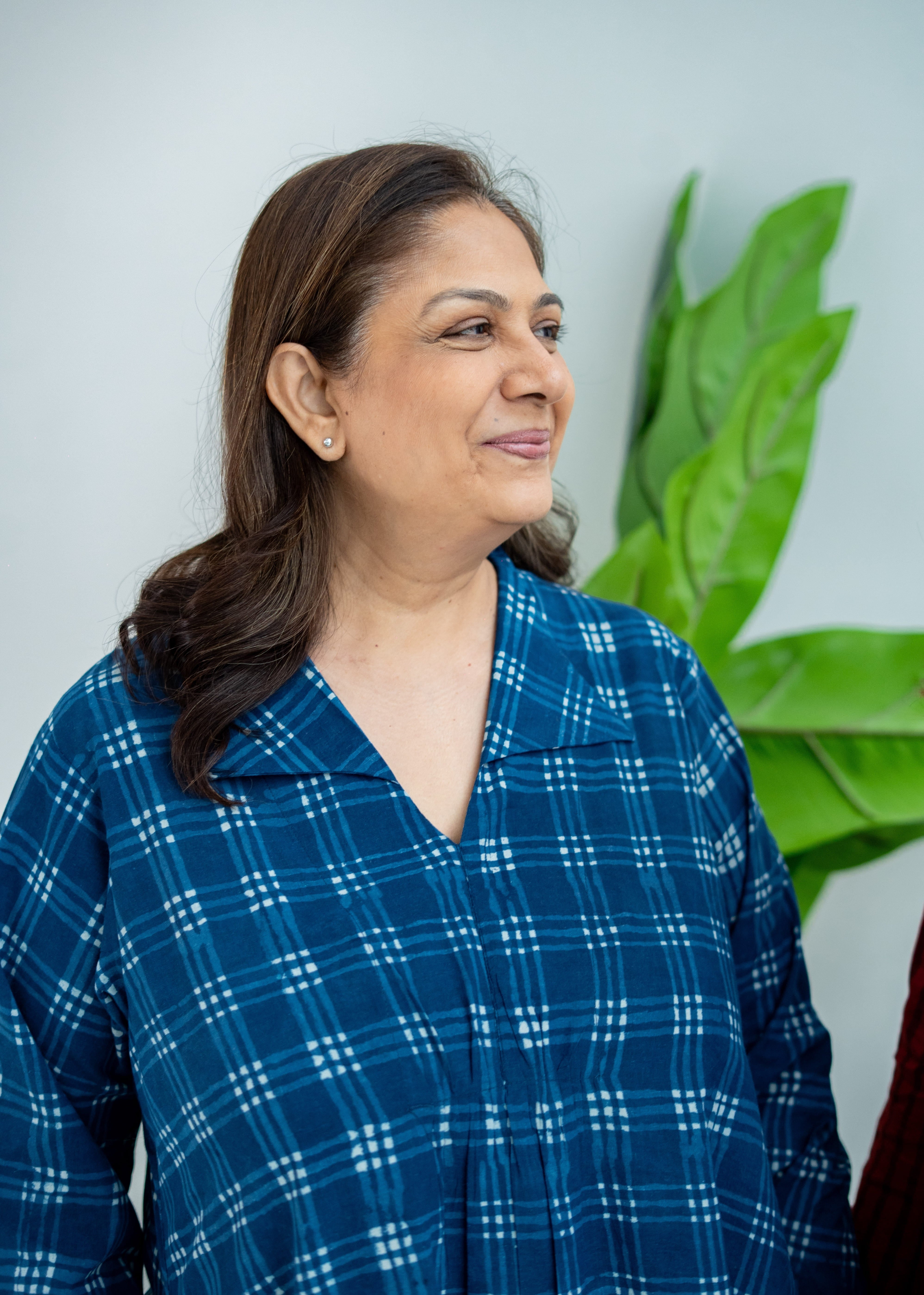 Indigo Checks Block Print Cotton A Line Dress