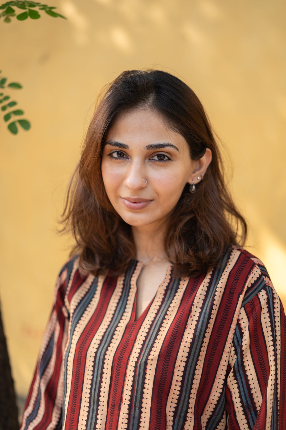 Ajrakh Madder Indigo Stripe Bell Sleeves Cotton Short Top