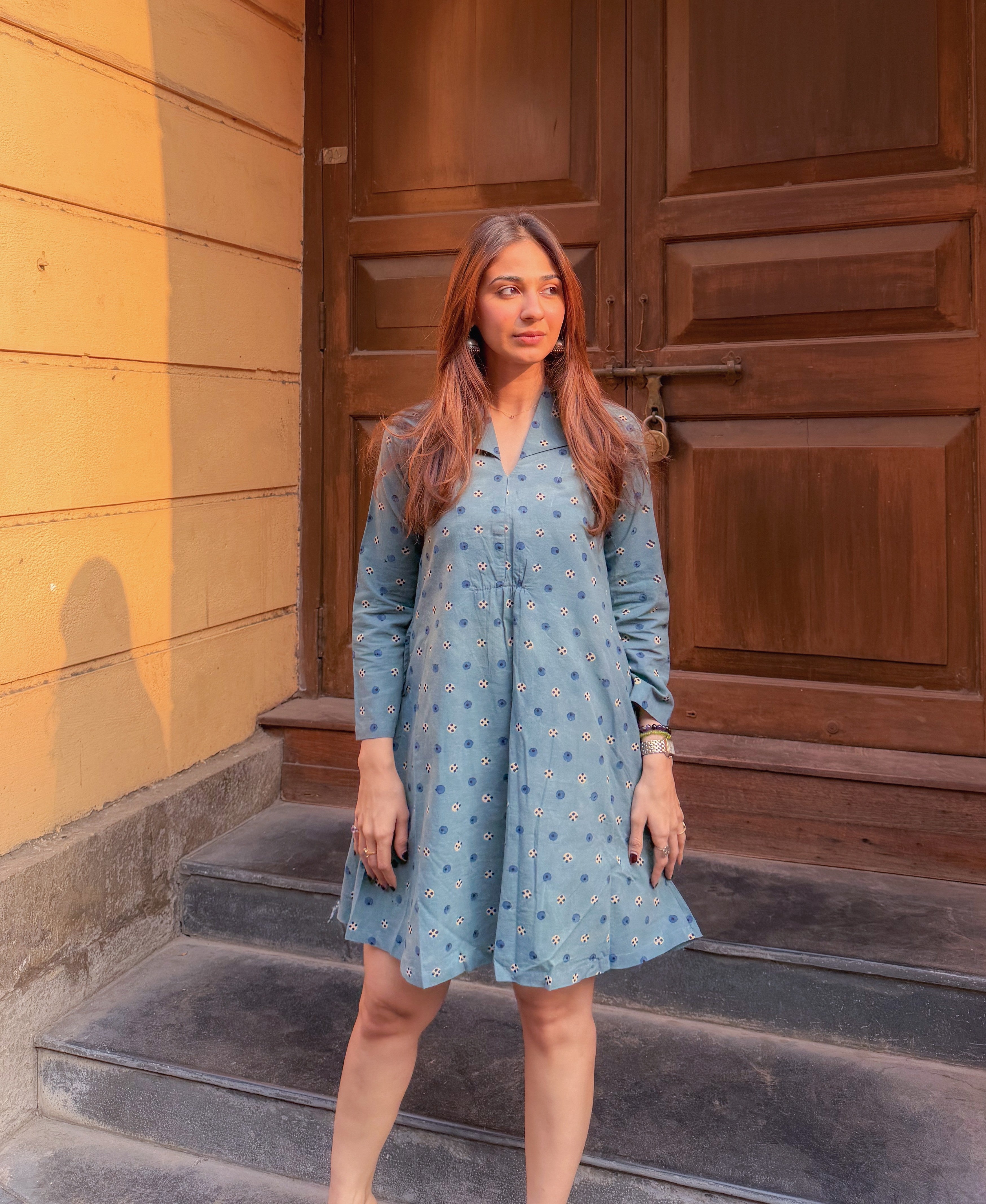 Indigo Ajrakh Cotton A Line Dress