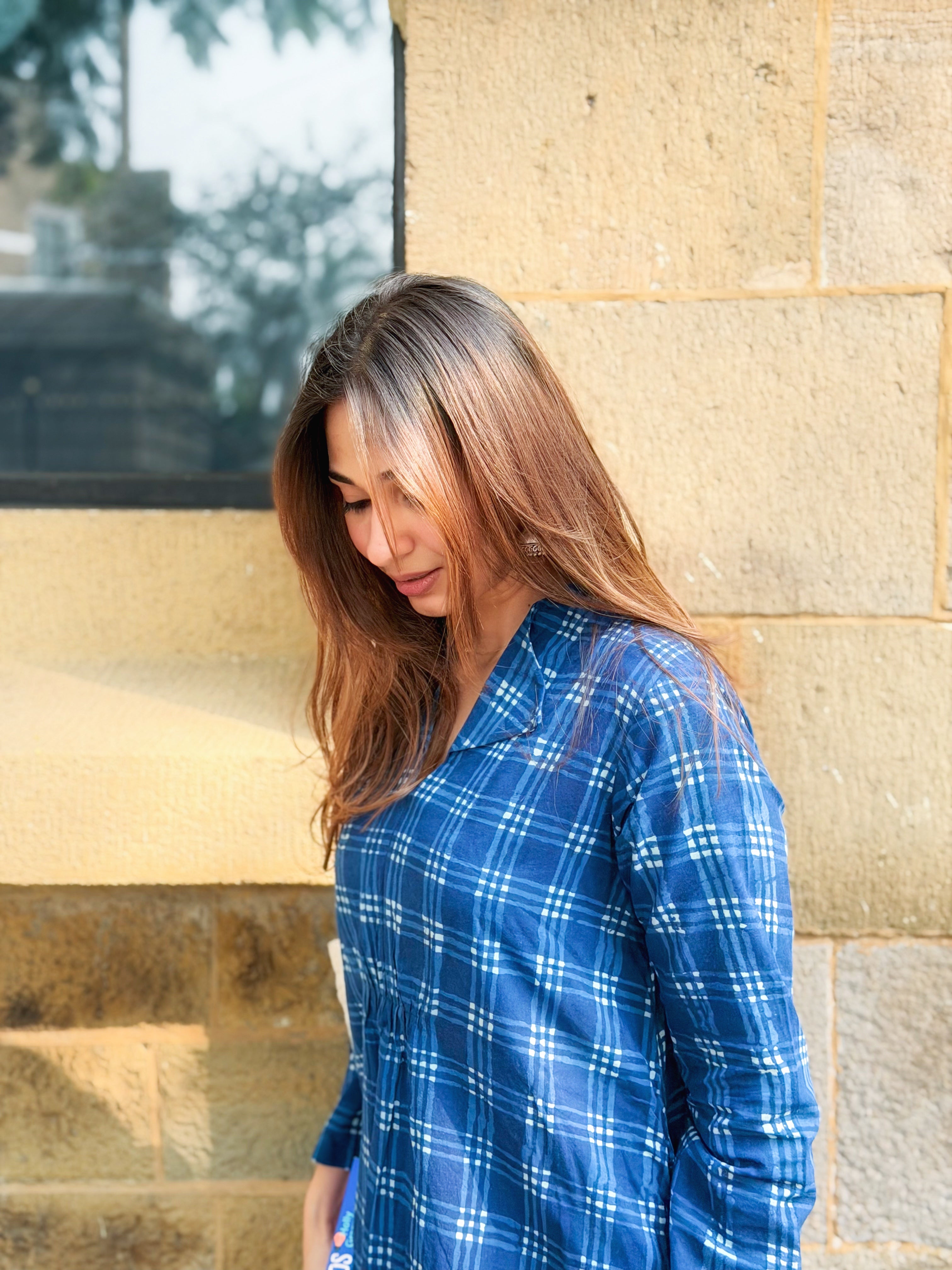 Indigo Checks Block Print Cotton A Line Dress